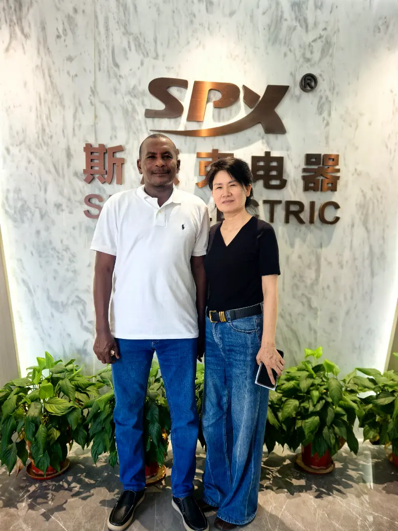 Pelanggan Luar Negara Memeriksa Pengeluaran MCCB, AC Contactor dan VFD di Kilang SPX ELECTRIC