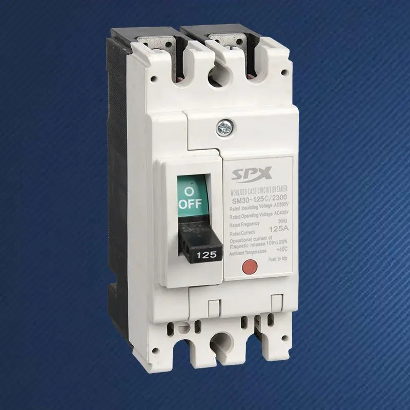 Pemutus Litar Kes Beracuan 2P 125A